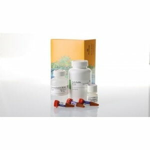 Chất thử Preprocessing and Differential Extraction - Promega (Mỹ)