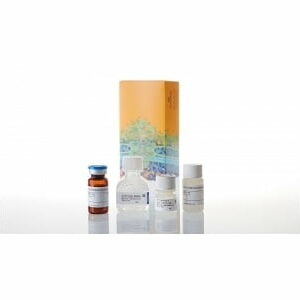 Chất thử Nucleotide and Co-Factor Detection Assays - Promega (Mỹ)
