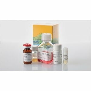 Chất thử Fc Effector Activity Bioassays - Promega (Mỹ)