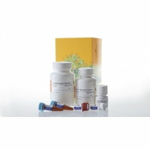 Chất thử Lipid Metabolism Assays - Promega (Mỹ)