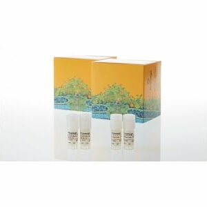 Chất thử mmune Checkpoint Bioassays - Promega (Mỹ)