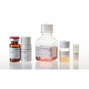 Chất thử Primary Cell Bioassays - Promega (Mỹ)