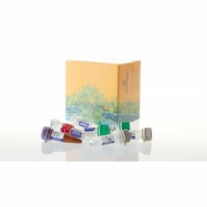 Chất thử Human-Specific DNA Quantitation - Promega (Mỹ)