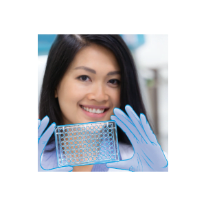 Khay vi thể 96/384/1536 giếng - Greiner Bio One (Đức)