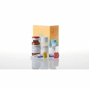 Chất thử Glycobiology Products - Promega (Mỹ)